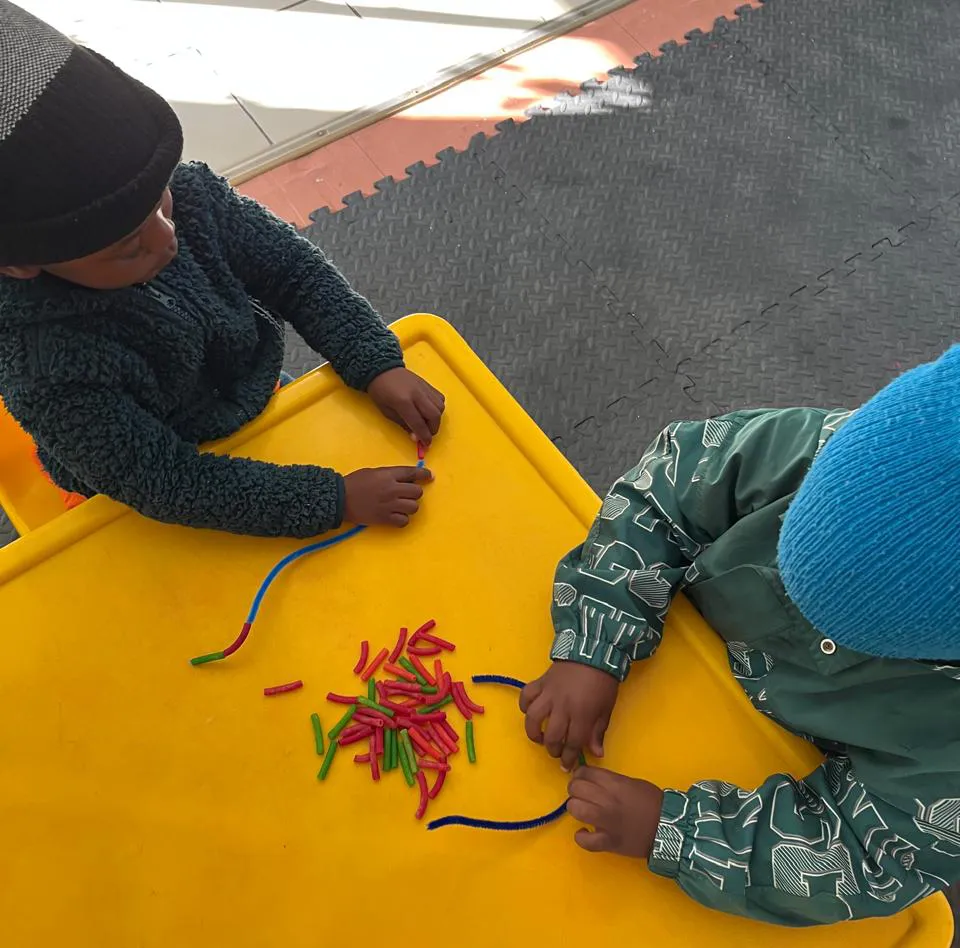 Following Principles